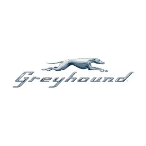 Greyhound